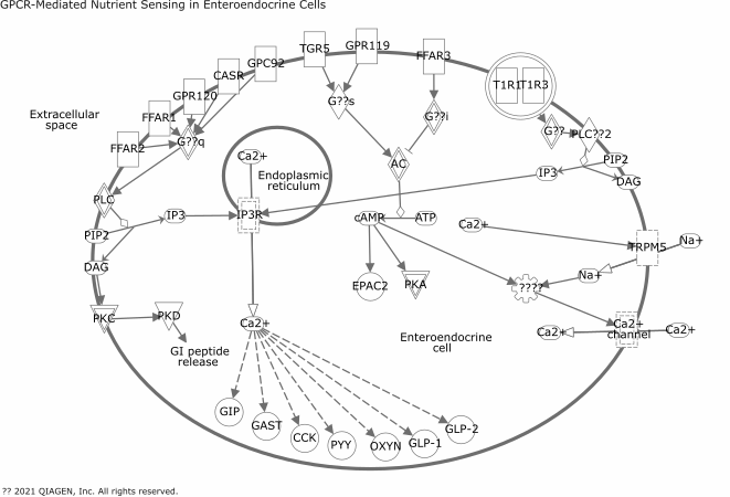 GPCR-Mediated Nutrient Sensing in Enteroendocrine Cells