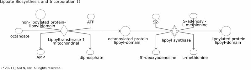 Lipoate Biosynthesis and Incorporation II