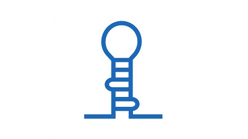 miRNA Functional Analysis