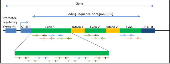 component pic