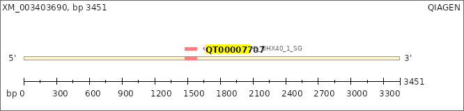 XM_003403690