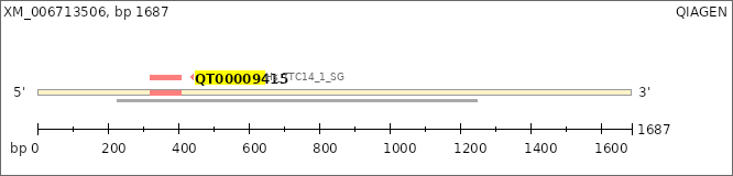 XM_006713506