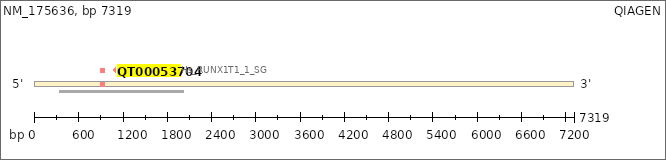 NM_175636