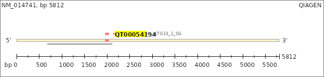 NM_014741