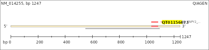 NM_014255